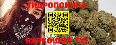 прущий лед Будённовск