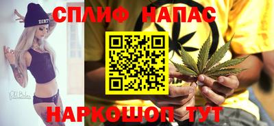прущий лед Будённовск