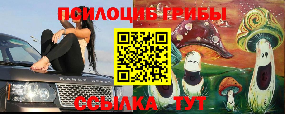 Галлюциногенные грибы GOLDEN TEACHER  где купить наркоту  Мегион  Вход с VPN 